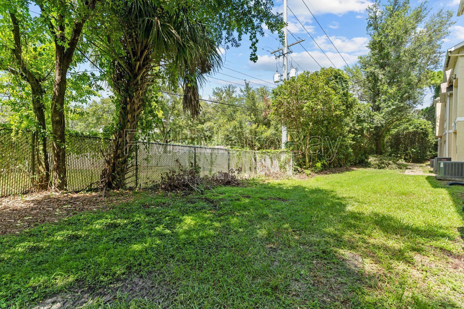 $100 off first 3 months rent!!! 2 Bed 2.5 Bath Condo across from USF Campus!! property image