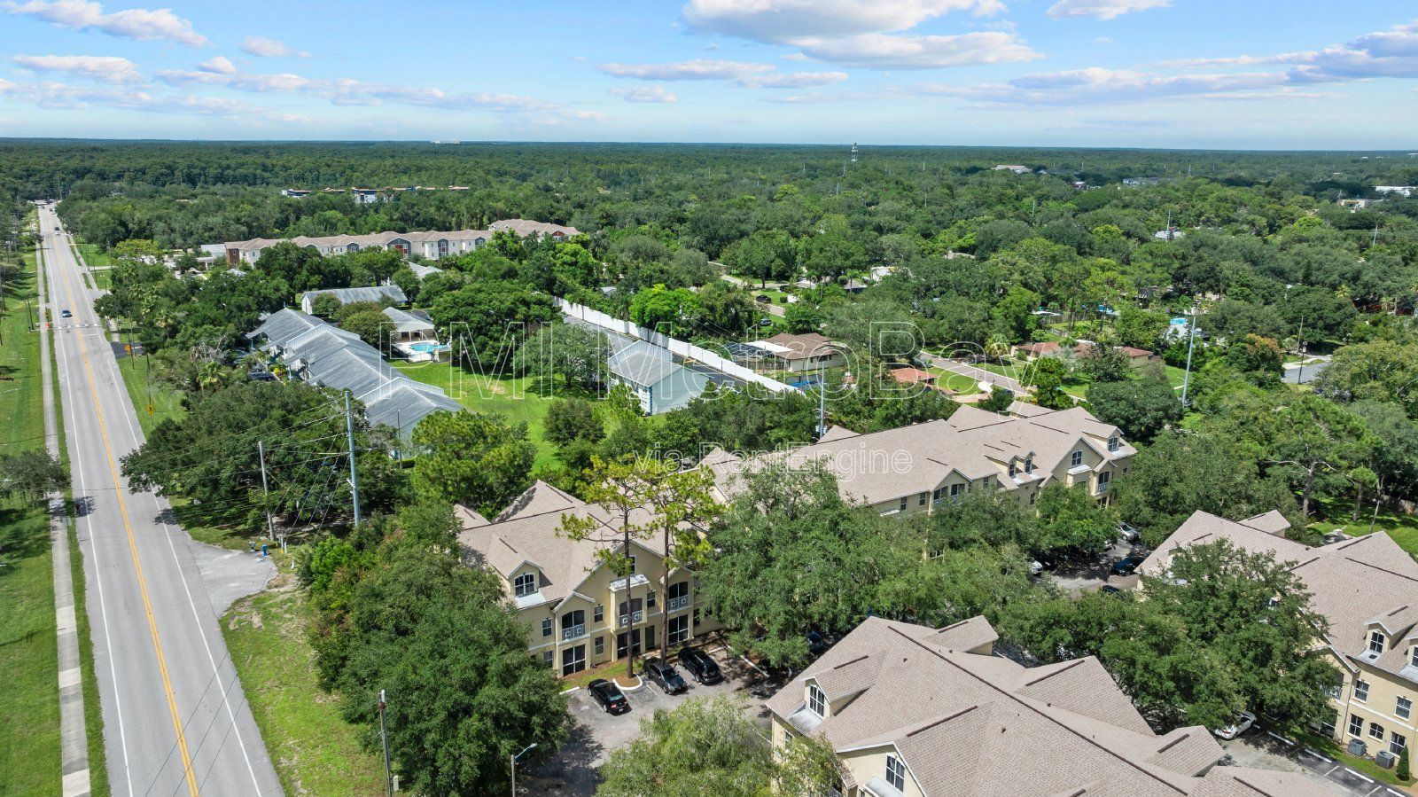 $100 off first 3 months rent!!! 2 Bed 2.5 Bath Condo across from USF Campus!! property image