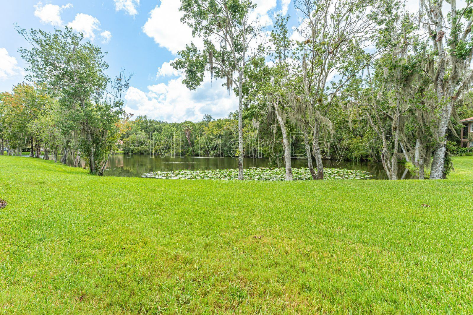Granite Countertops, Stainless Steel Appliances, and more in Tampa Palms Townhome! property image