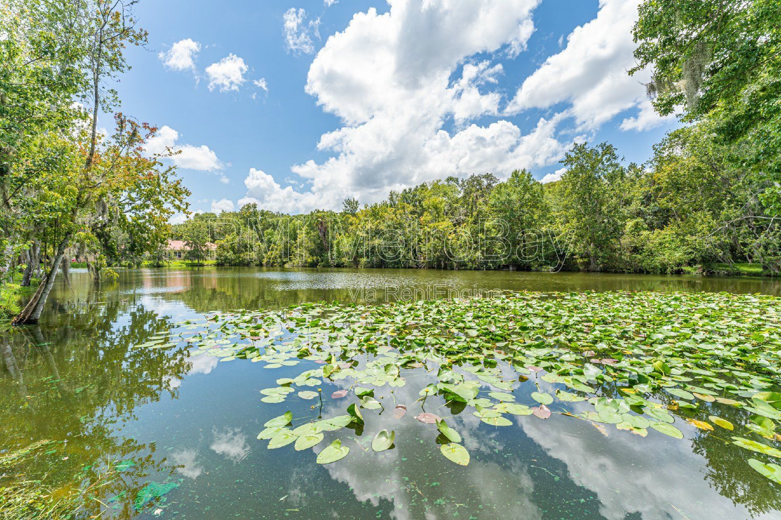 Granite Countertops, Stainless Steel Appliances, and more in Tampa Palms Townhome! property image