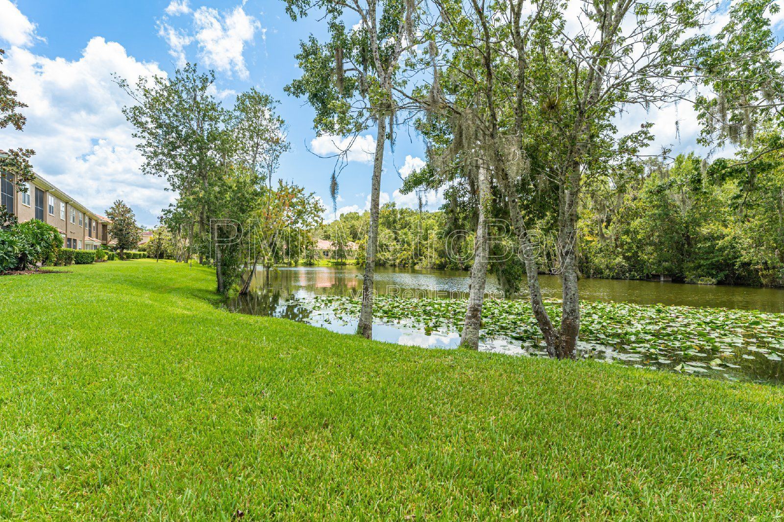 Granite Countertops, Stainless Steel Appliances, and more in Tampa Palms Townhome! property image