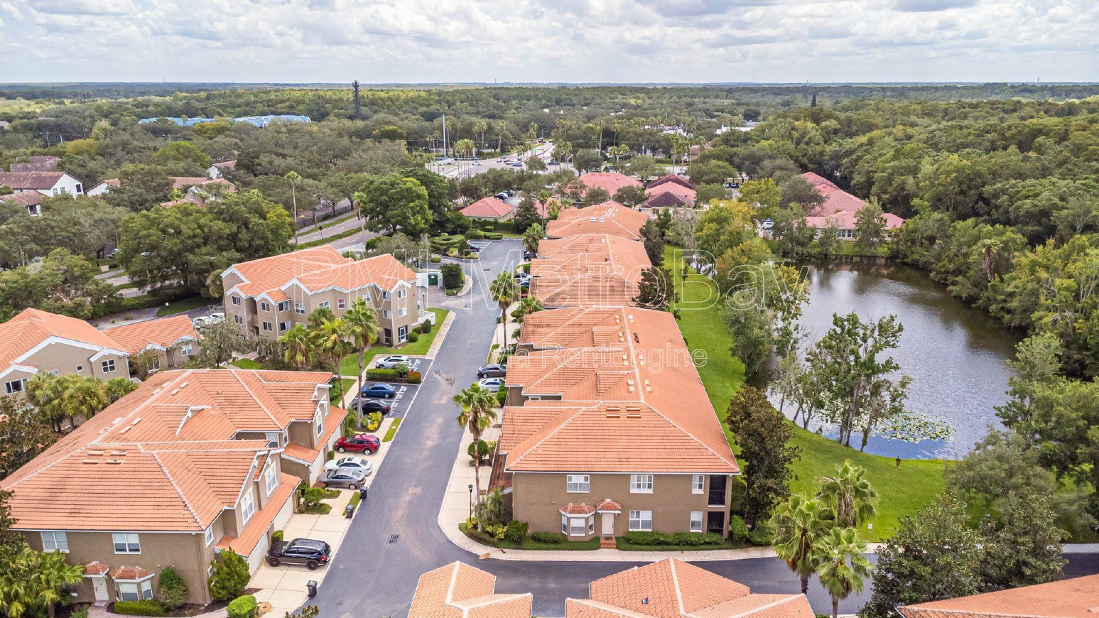 Granite Countertops, Stainless Steel Appliances, and more in Tampa Palms Townhome! property image