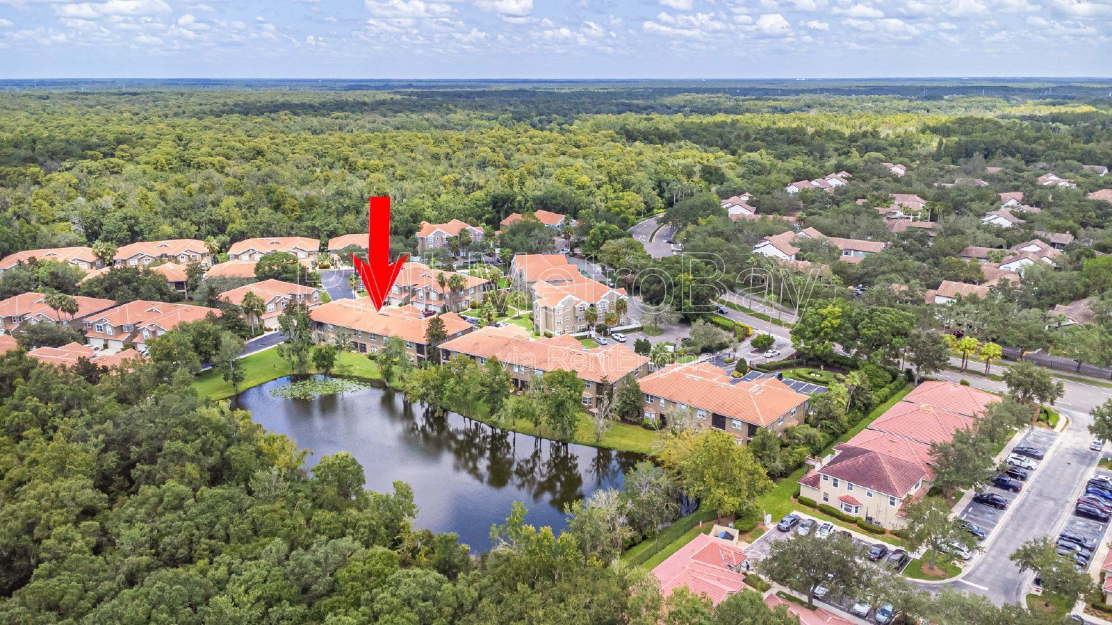 Granite Countertops, Stainless Steel Appliances, and more in Tampa Palms Townhome! property image